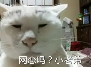 丑萌小奶猫表情包真的,骗你我就是小兔秀儿兔崽子式委屈