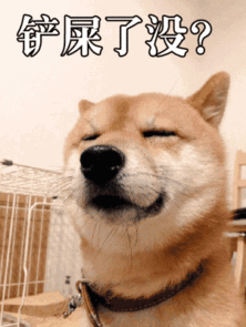  柴犬才是汪界表情包的鼻祖哈士奇也得服