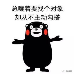  这大概就是你单身的原因吧搜狐