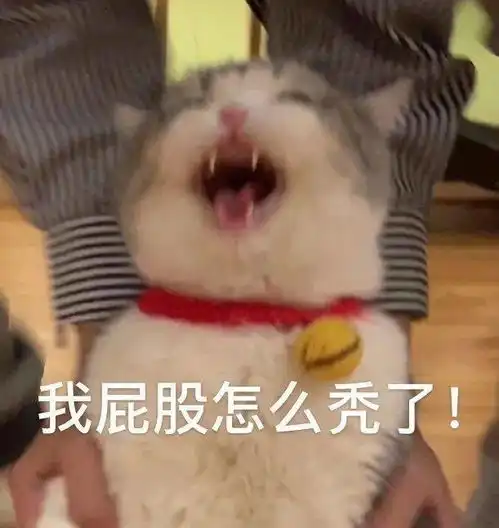  聊天斗图表情包i打爆你的狗头