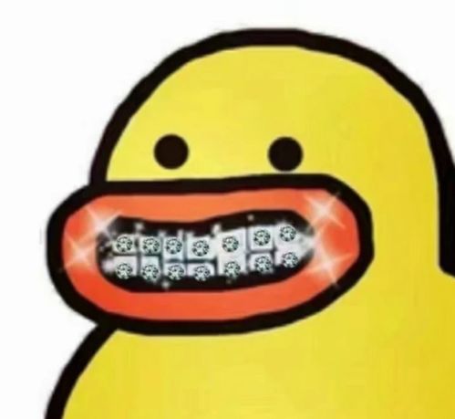 lapinfee兔熊表情包头像