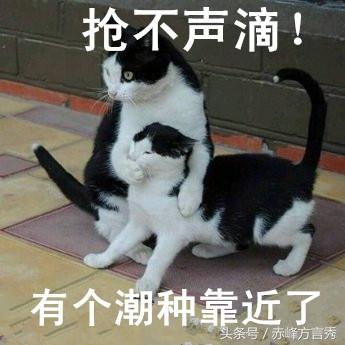 未响应表情包惹不起
