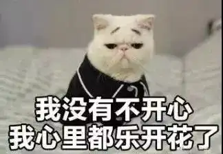  雨雪大风春节的天气竟然是这样
