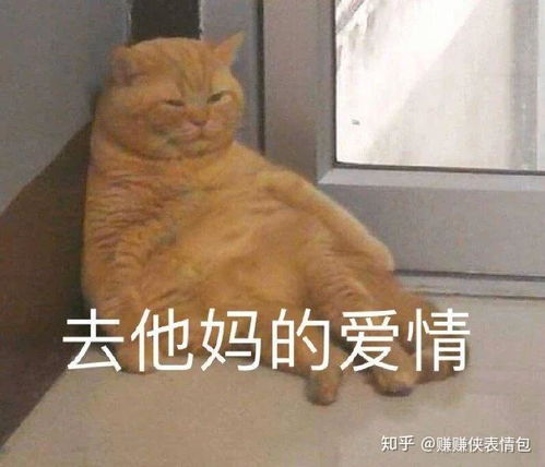  可爱表情包图片啃爪爪,让我进入你的世界好不好