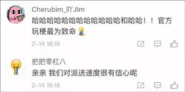  中国最强快递来了全球包邮,使命必达