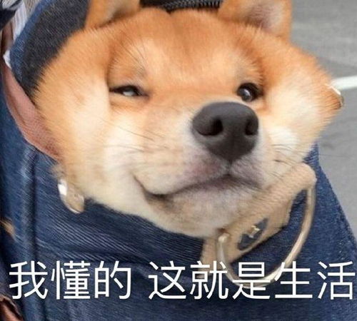  有哪些专门用来吐槽天气很热的沙雕文案
