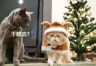  在这个冷冷的冬天,我们应该做点什么呢