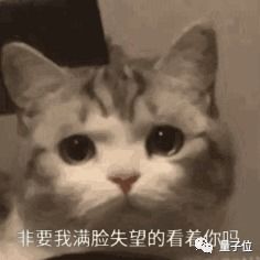  谷歌最新发布两大视频生成工作720p高清长镜头,网友对短视频行业冲击太大......
