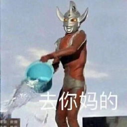  残存的悸动收藏夹