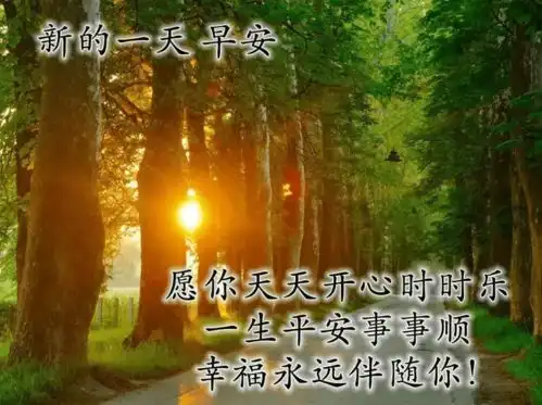 表情包早安语录