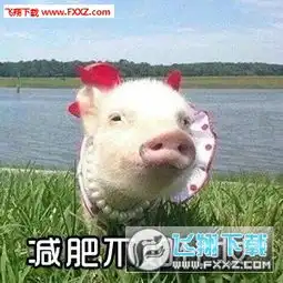  小猪猪减肥系列表情包下载小猪猪减肥表情包无水印版下载飞翔下载