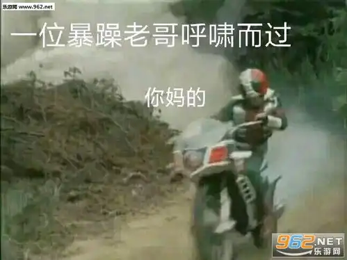  一位暴躁老哥呼啸而过假面骑士表情包你不玩我玩表情包下载乐游网游戏下载