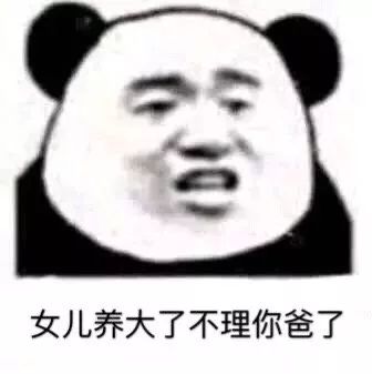  0108热门表情包我看你挺会花钱,能在我身上花点吗