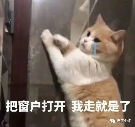  现在小朋友的语言密码有多难懂我突然看不懂中文了