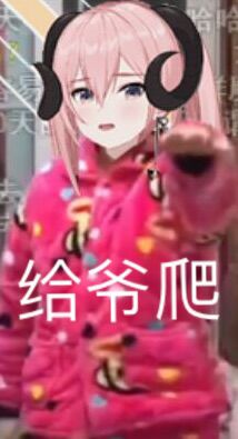  花老师表情包合集第一弹