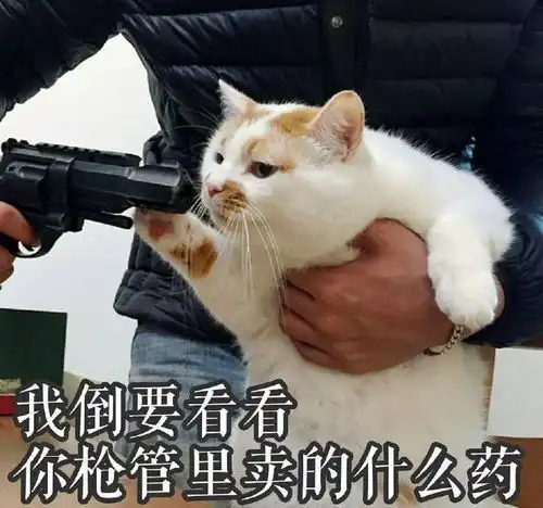  智享干货人手必备的个面求生指南