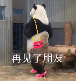  外地人在厦门生活这么难吗60多岁老男人这样对我,因为我是外地人,就活该吗