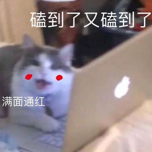  教科书国产剧,都来学