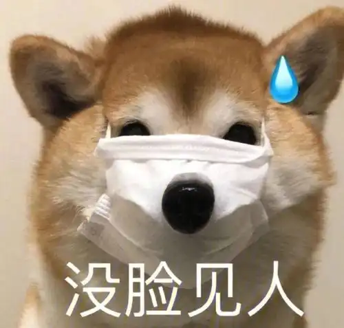  动物表情包没脸见人