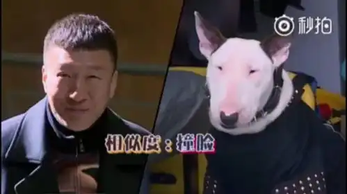  变得越来越难看的极挑......停播的这周,想他