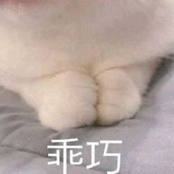  萌萌哒猫爪表情包