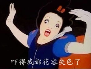  教你自定义微信表情包