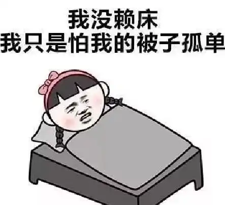  啊别拽我被子,就一分钟,再睡一分钟啊...