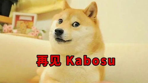 拳击手表情包狗头