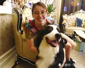  运动员平时都吃什么你看看傅园慧家的午饭,网友养不起