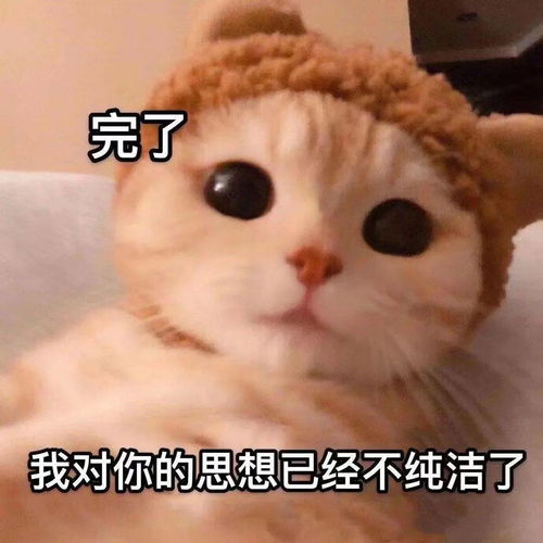  一大波微信表情包来袭,请接稳