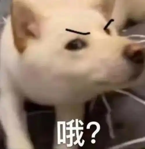  保洁阿姨坐拥40套房产过于扎心...