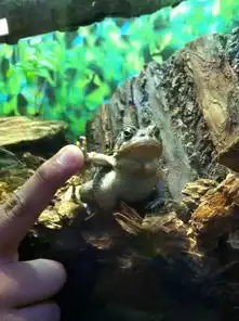  宝宝很生气,后果很严重