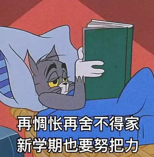  大一vs大四结果竟然是你还高举大学第一周的flag吗