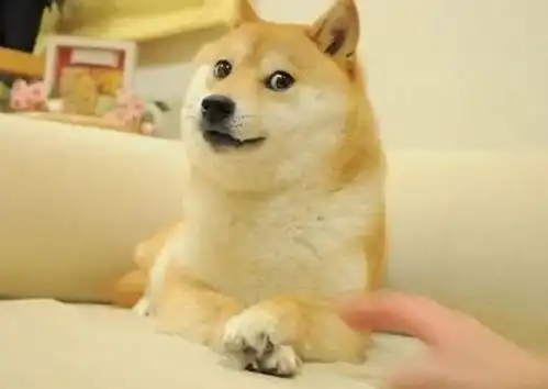  柴犬表情包也能注册商标吗经典案例