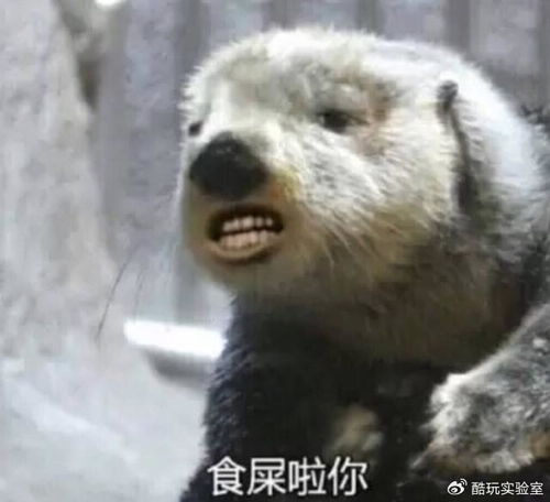  日本艺伎孙悟空女装色魔老龙王抹胸短裤须菩提这也是西游记