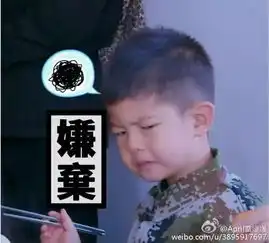  他是男版甜馨,也是大碴子味宋仲基,更是坑爹神娃