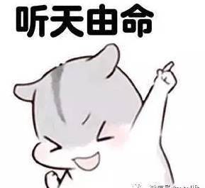  大部分人健身只需要25天