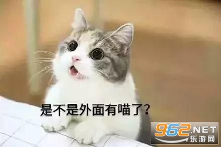 三只猫点头表情包动图gif三只猫点头表情包下载乐游网游戏下载