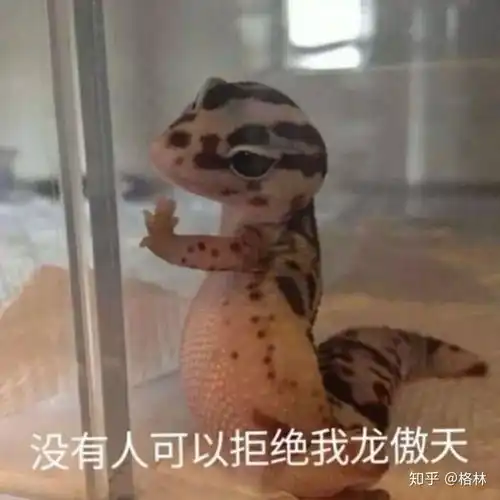  女孩子感觉自己有娇气怎么办