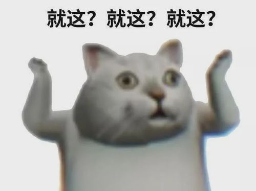  圆脸女星大赛,你pick谁