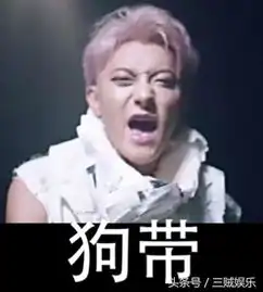  鹿晗张艺兴黄子韬吴亦凡,exo的四个人回国后谁