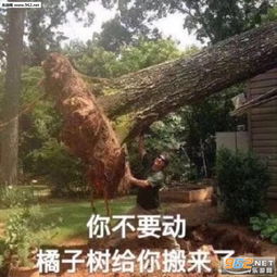  崩盘定心丸图片生活我表情包下载乐游网游戏下载