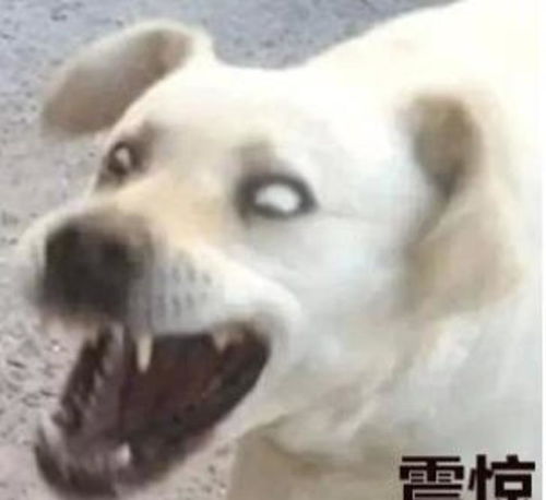  赵丽颖冯绍峰官宣离婚,两人称会共同抚养孩子