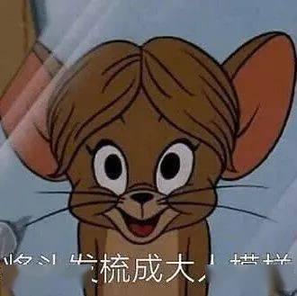  表情包猫和老鼠动态表情包大全