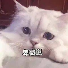  听说点开这篇推送的人驾校考试都通过了