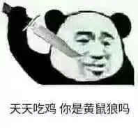  熊猫头套路表情包我要睡了,你要给我说晚安