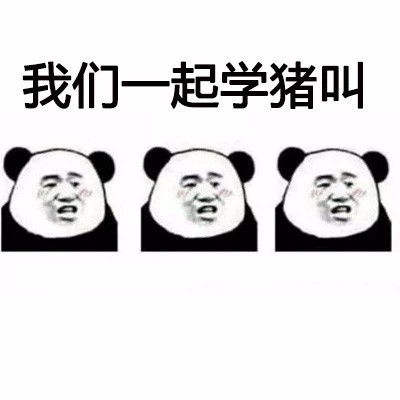 猪表情包动图抖音