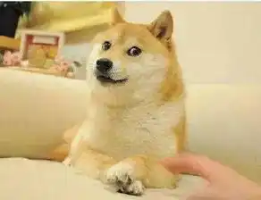  致敬我们用过的汪届表情包鼻祖16岁日本柴犬北登去世
