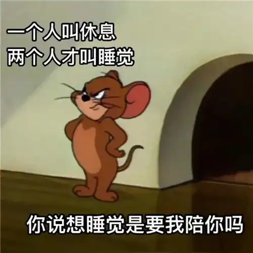 再不睡就天亮了表情包注