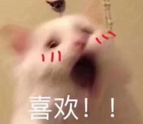  微信又更新了